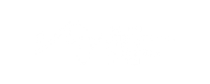 https://www.fifcl.be/